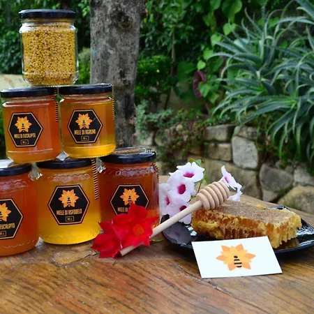 Casa 20 Villa Castiadas